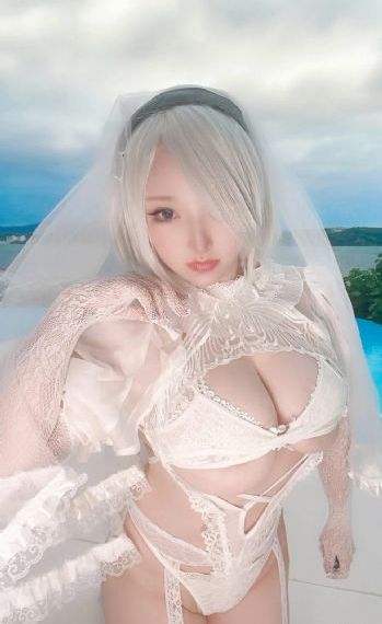 电视剧珠帘玉幕免费看