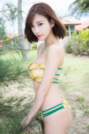 照亮你电视剧免费观看完整版