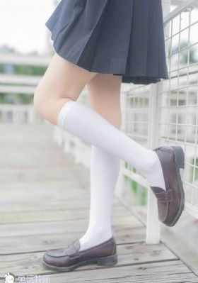 电视剧九重紫免费观看完整版