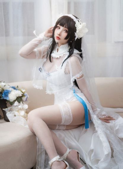 王妃被皇上强h